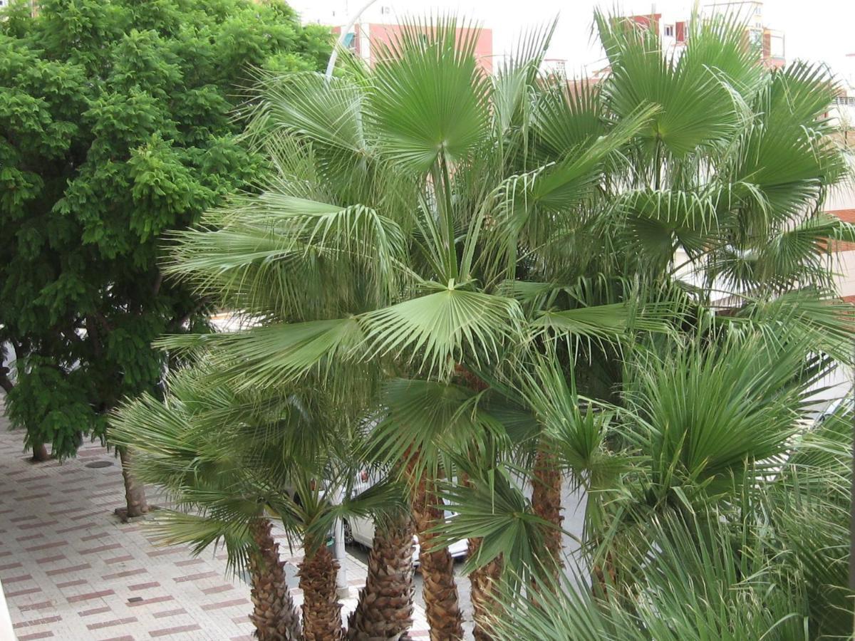 Excelente Apartamento Princesa 33 Apartamento *